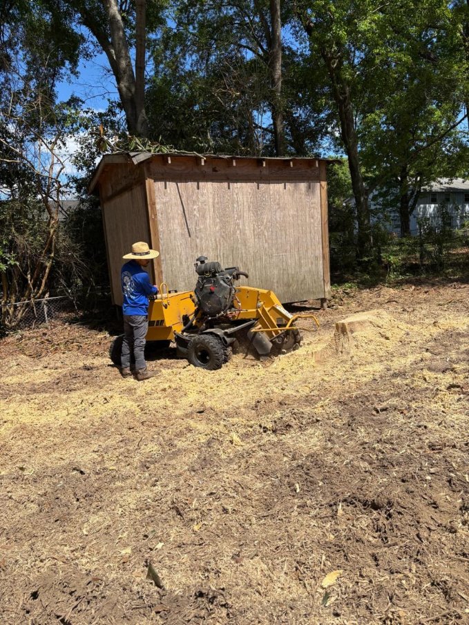 Lion Tree Service and Landscaping LLC project photo 25
